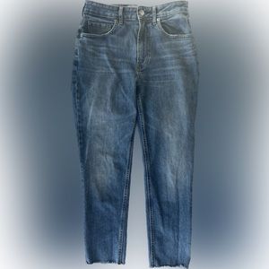 Everlane Curvy Cheeky Cropped Jeans